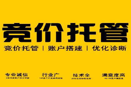 案例研究：SEM推广助力企业实现业绩增长